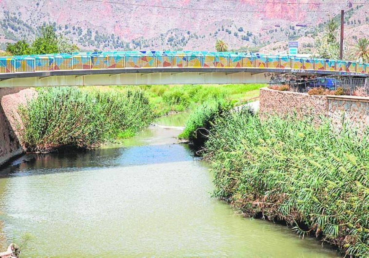 Los márgenes del río a su paso por Orihuela, en una imagen de archivo.