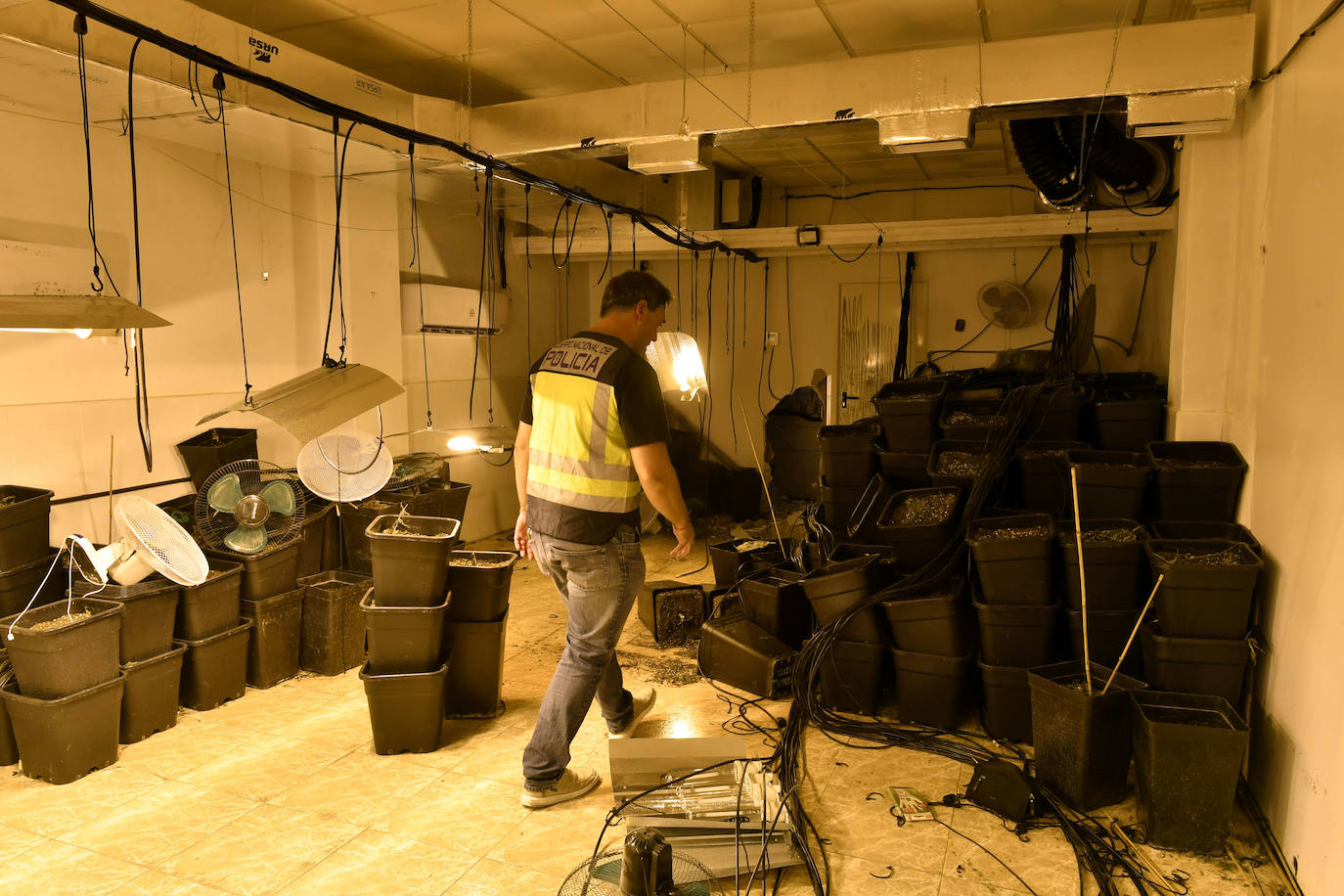 La redada de marihuana en Patiño, en imágenes