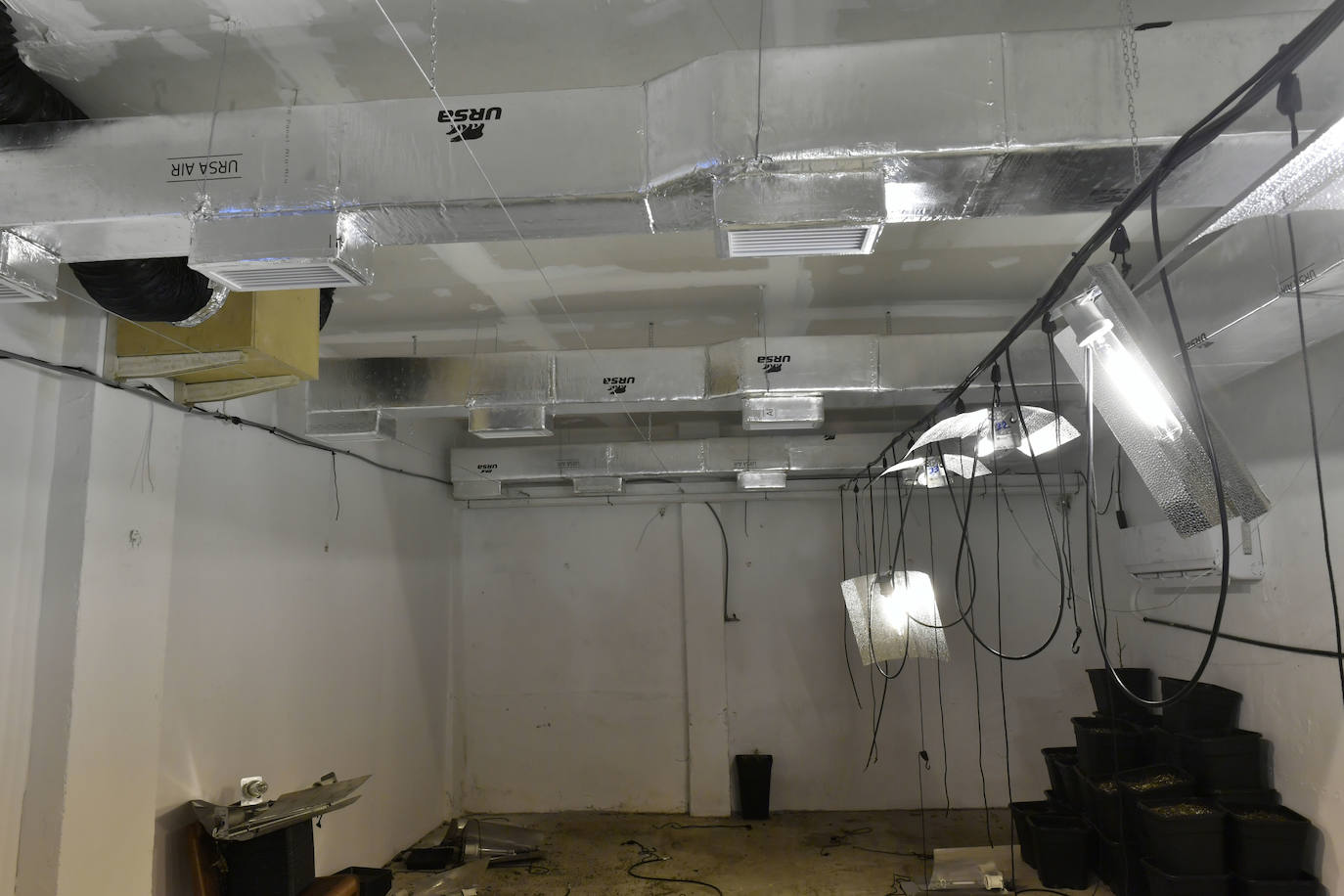 La redada de marihuana en Patiño, en imágenes