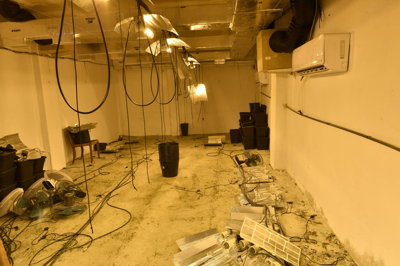 La redada de marihuana en Patiño, en imágenes