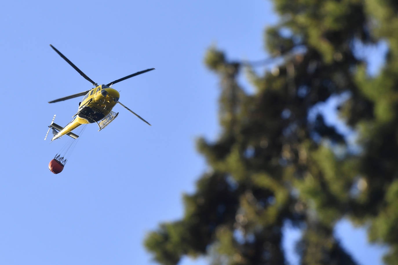 Los trabajos de extinción del incendio forestal en el parque regional del Valle en Murcia, en imágenes