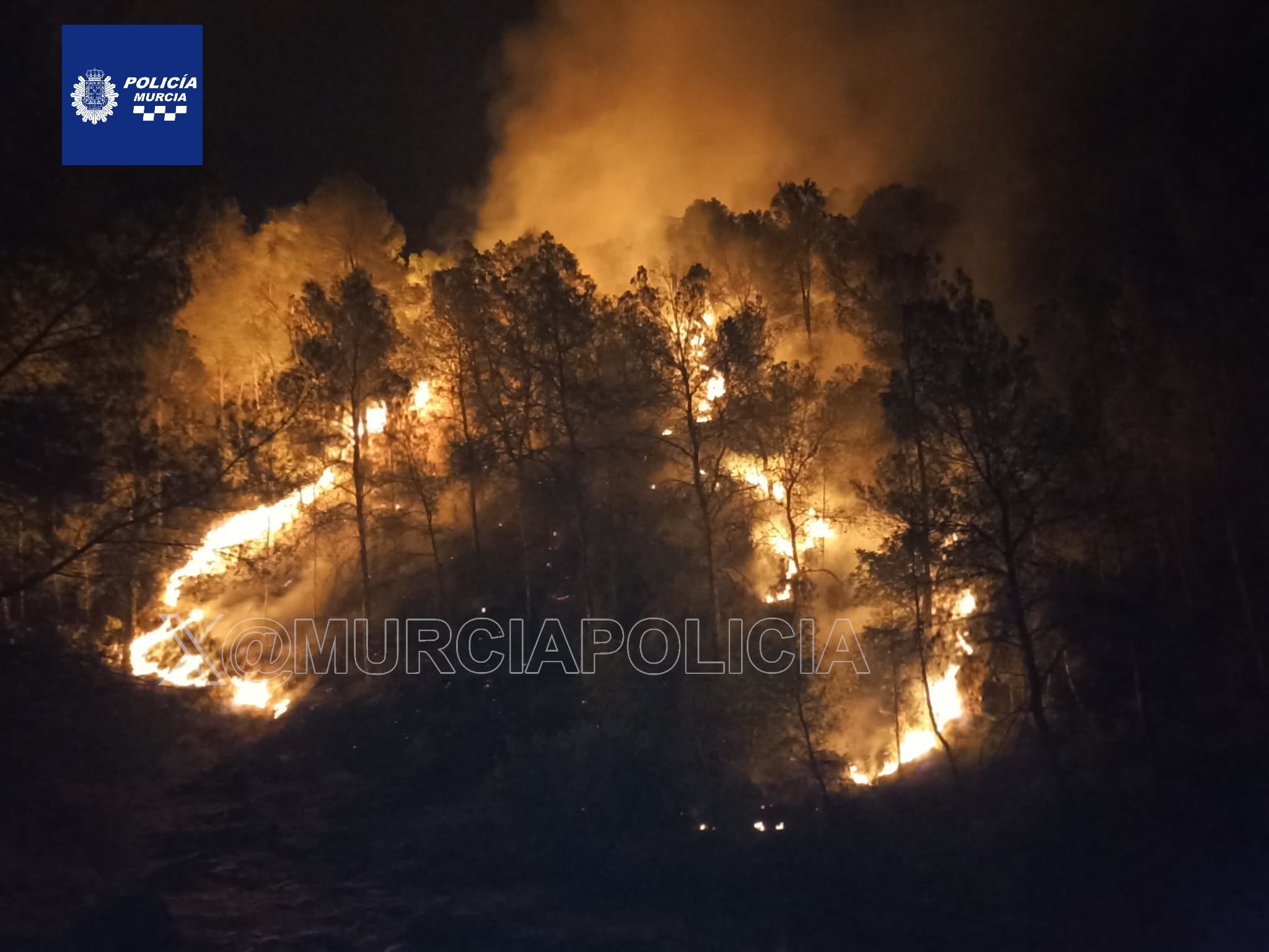 Los trabajos de extinción del incendio forestal en el parque regional del Valle en Murcia, en imágenes