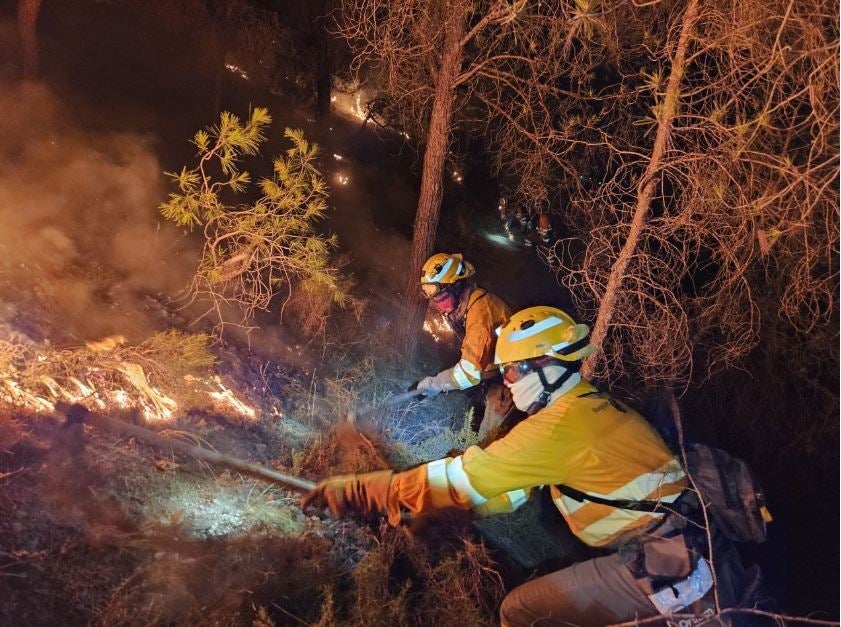 Los trabajos de extinción del incendio forestal en el parque regional del Valle en Murcia, en imágenes