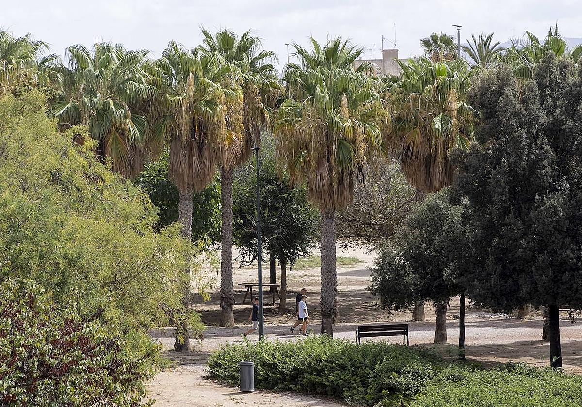 Las imágenes del deterioro del Parque de la Rosa de Cartagena