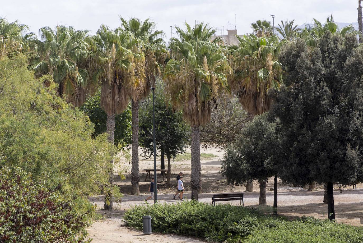 Las imágenes del deterioro del Parque de la Rosa de Cartagena