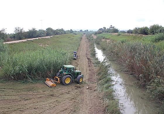 Trabajos de desbroce en el Segura a su paso por la pedanía oriolana de Molins.