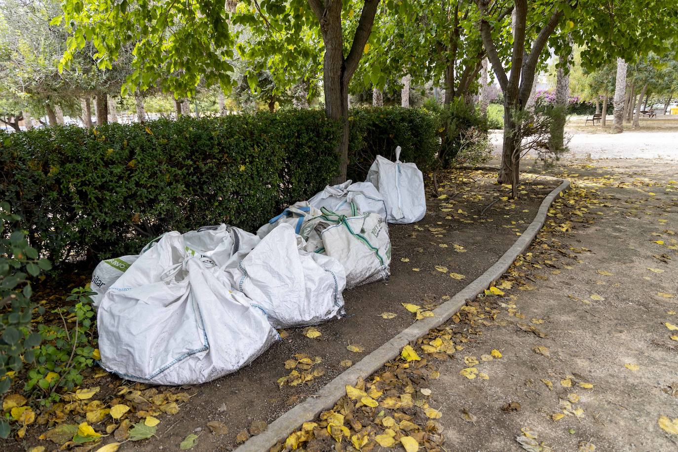 Las imágenes del deterioro del Parque de la Rosa de Cartagena
