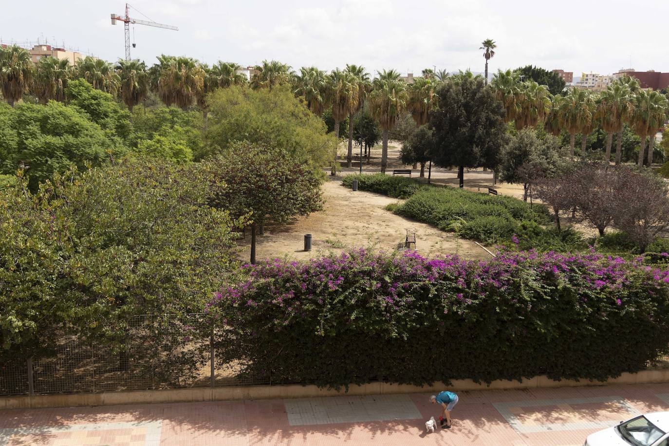 Las imágenes del deterioro del Parque de la Rosa de Cartagena