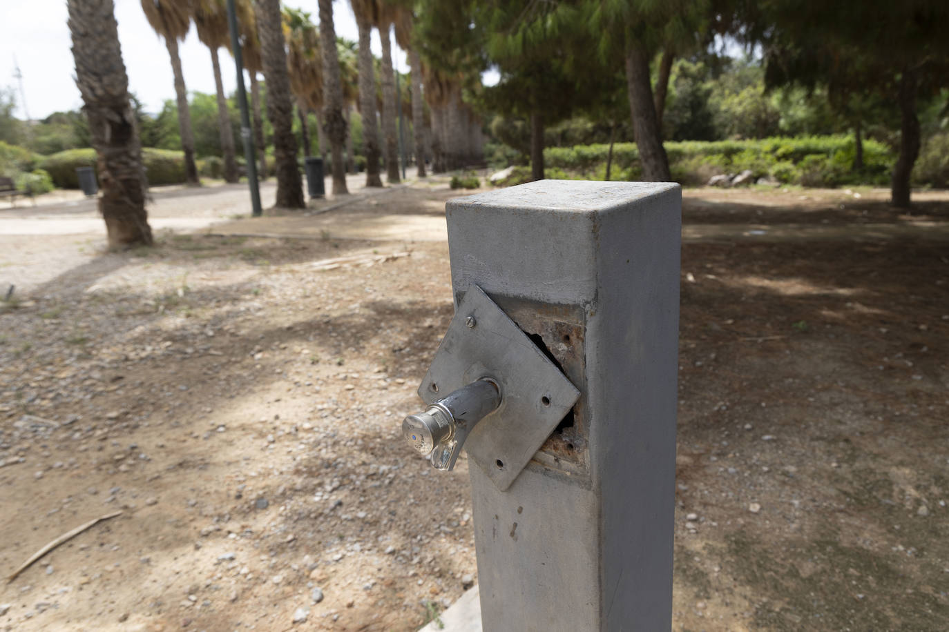 Las imágenes del deterioro del Parque de la Rosa de Cartagena