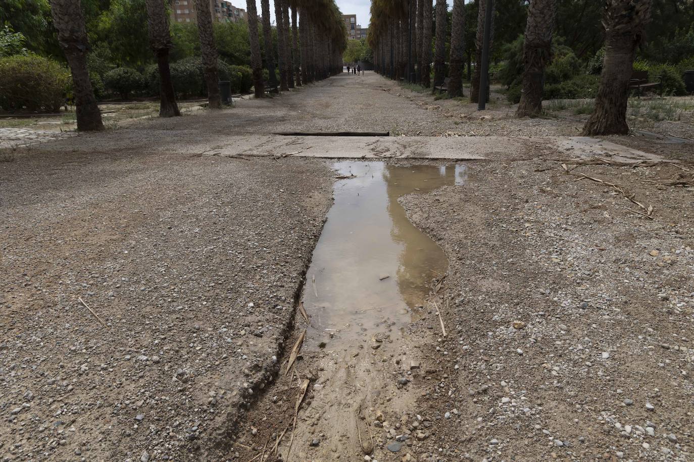 Las imágenes del deterioro del Parque de la Rosa de Cartagena