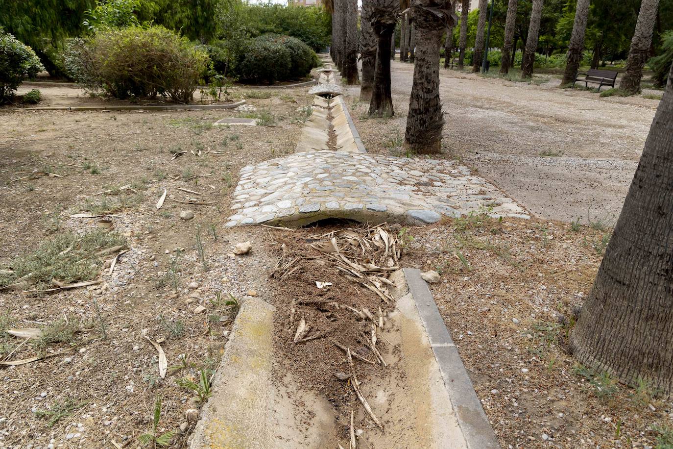 Las imágenes del deterioro del Parque de la Rosa de Cartagena