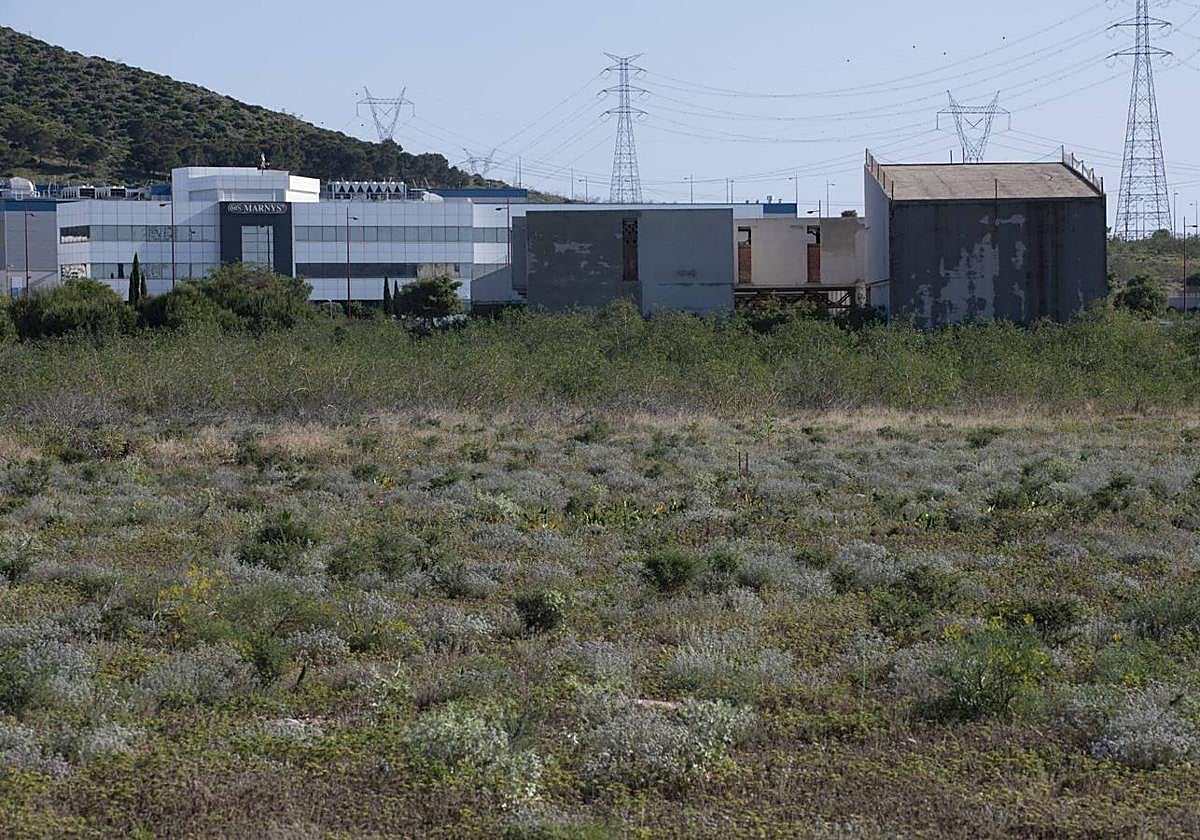 Terrenos donde será construido el centro de formación.