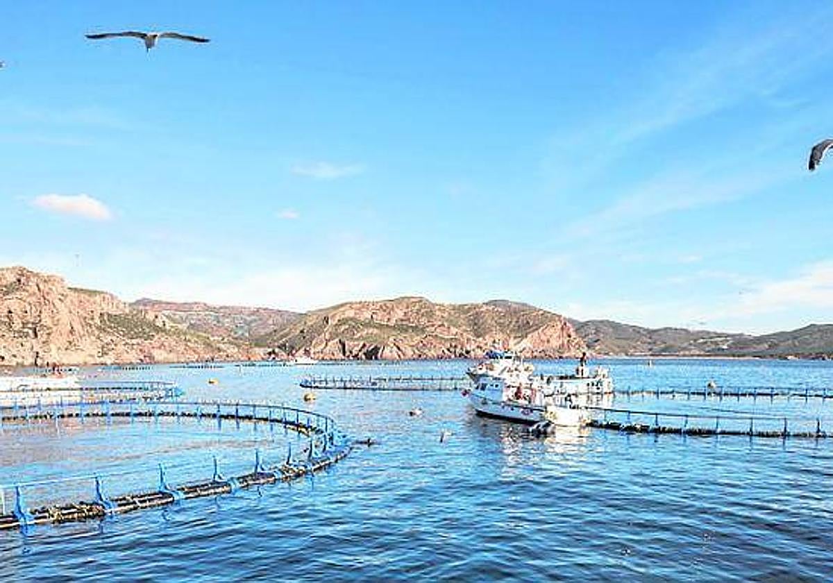 Viveros de acuicultura, en una imagen de archivo.