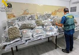 Marihuana incautada por la Guardia Civil en la operación.