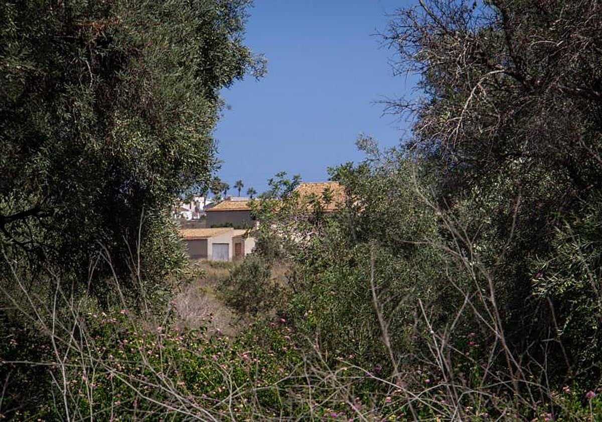 La antigua casa agrícola de La Hoya asoma entre las encinas centenarias que se conservarán.