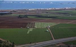 Imagen de archivo de unos cultivos y el Mar Menor de fondo.