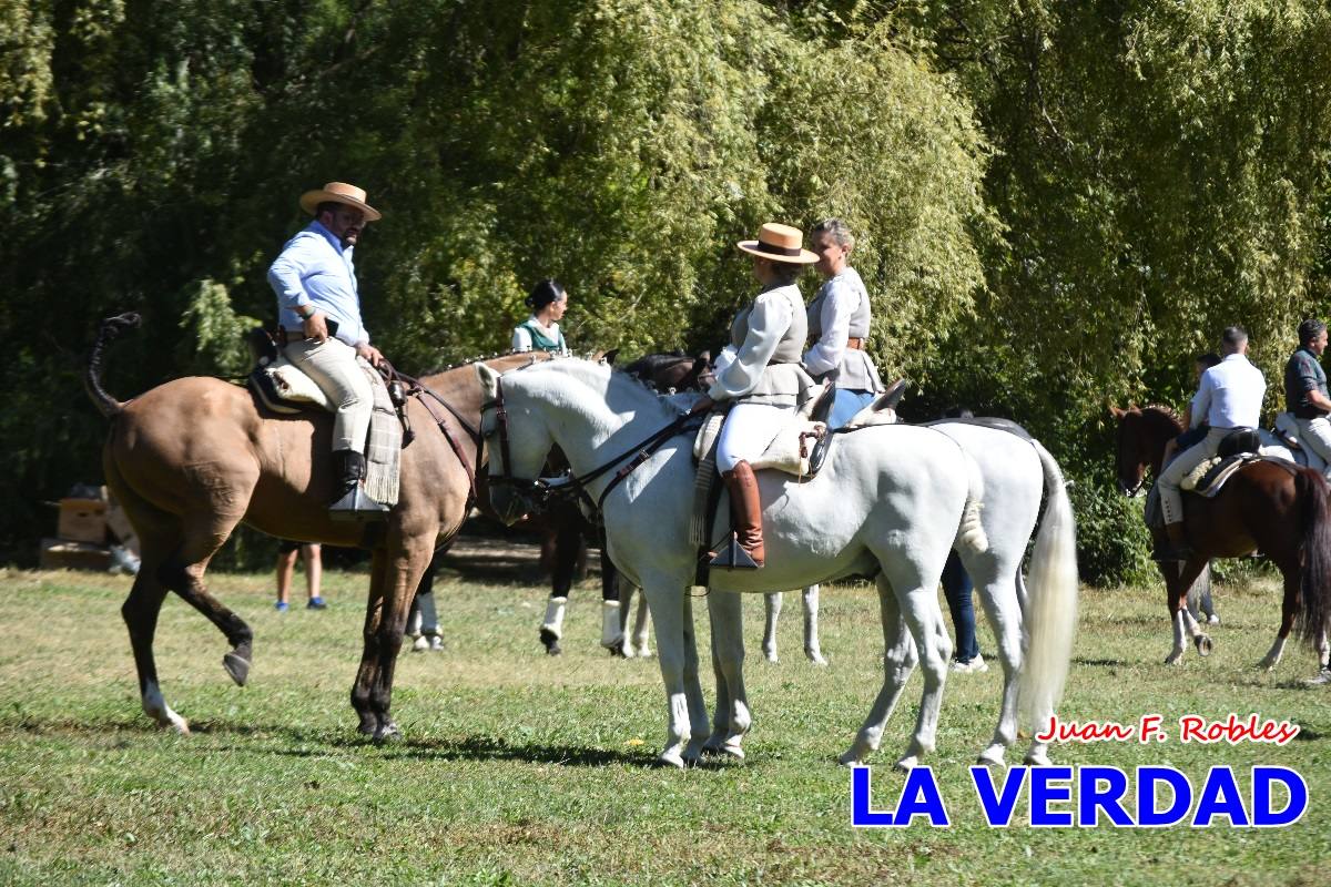 Romería caballista a las Fuentes del Marqués en Caravaca - 05