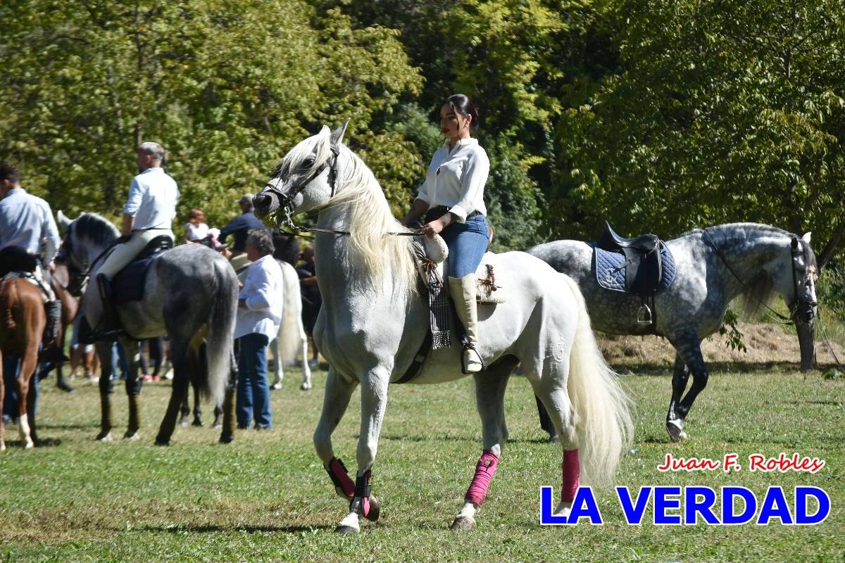 Romería caballista a las Fuentes del Marqués en Caravaca - 05