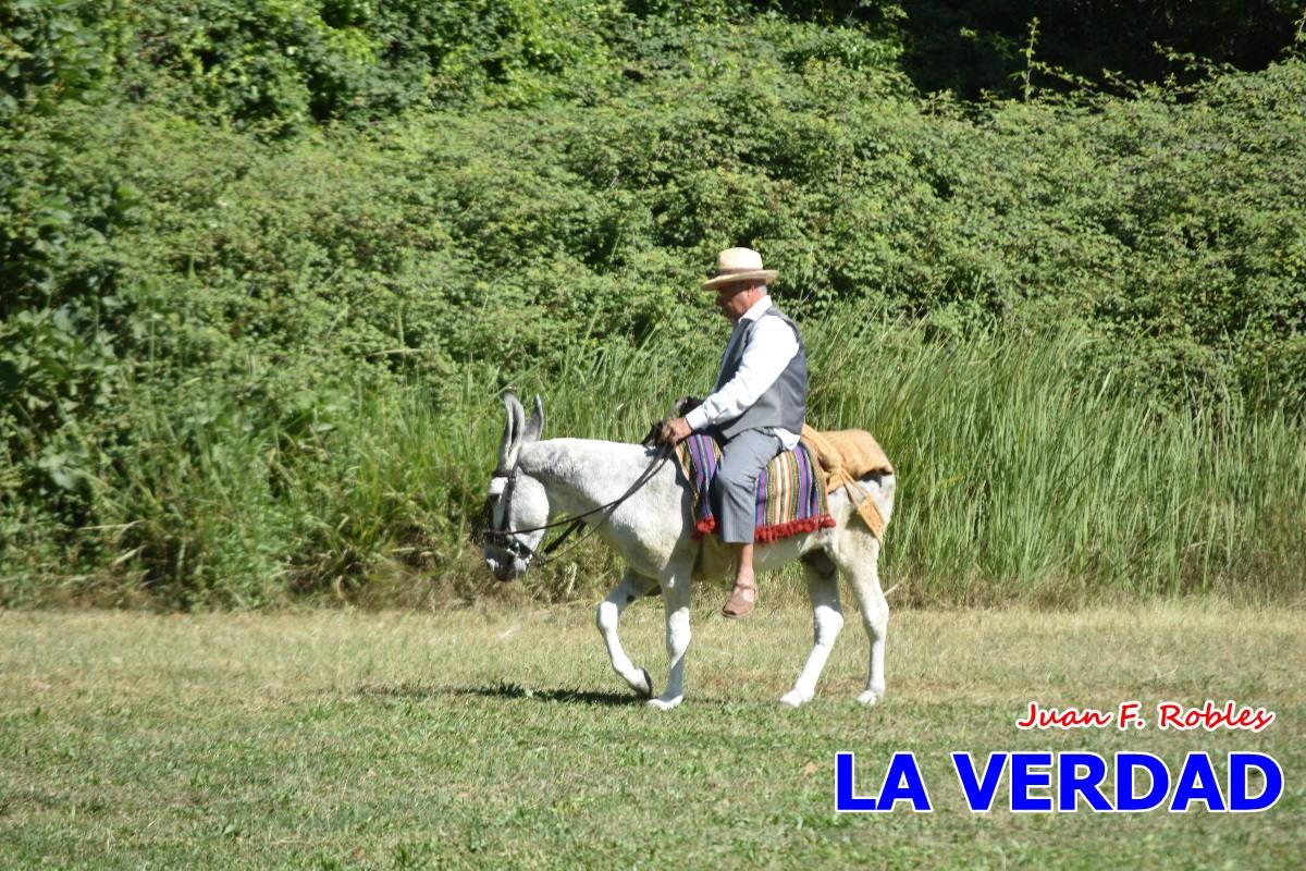 Romería caballista a las Fuentes del Marqués en Caravaca - 05