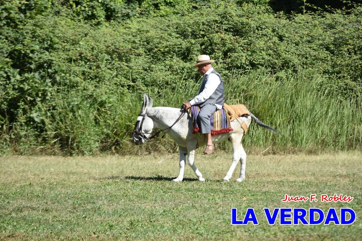 Romería caballista a las Fuentes del Marqués en Caravaca - 05
