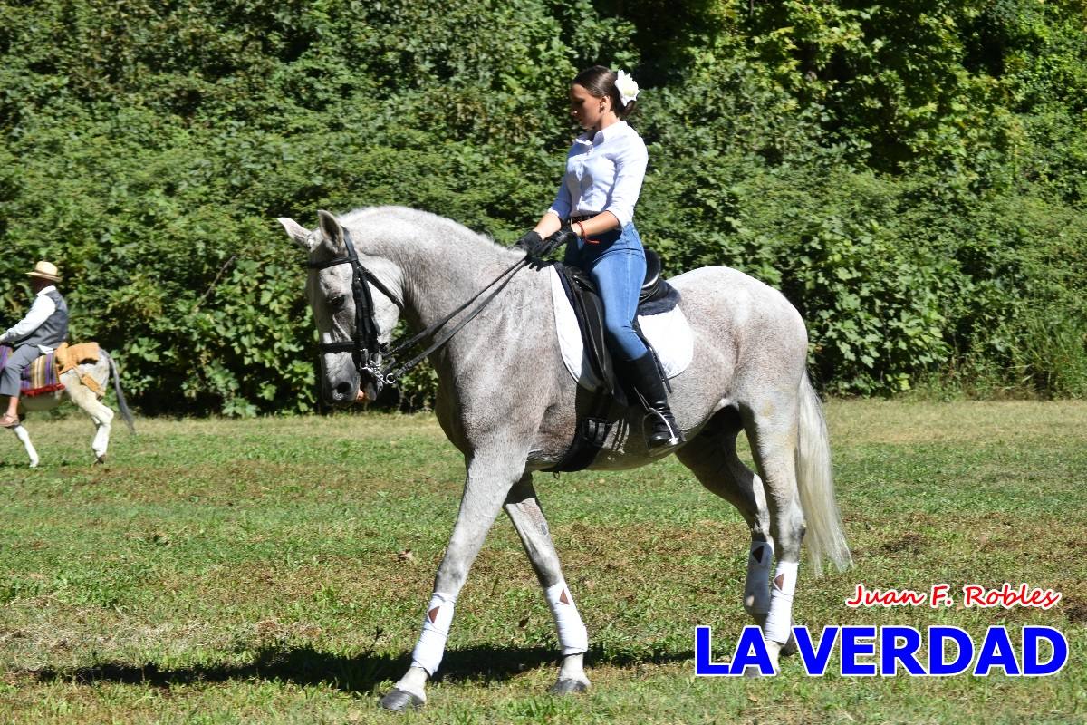 Romería caballista a las Fuentes del Marqués en Caravaca - 05
