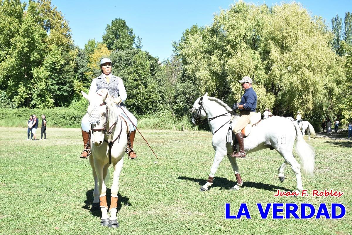 Romería caballista a las Fuentes del Marqués en Caravaca - 05