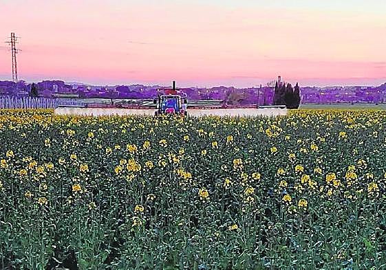 Un agricultor emplea un tractor de riego en su explotación agrícola.