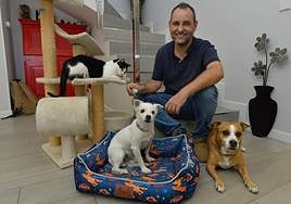 El abogado especialista en derecho animal Juan Antonio Ferrer, que tiene dos perros y dos gatos, con tres de sus mascotas.