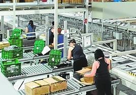 Trabajadoras de la empresa Liwe en el proceso de embalaje en la planta de Puente Tocinos.
