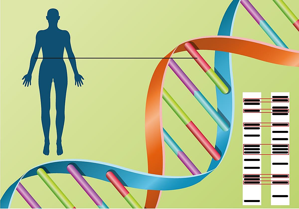 Ahora es el turno del ADN para identificar a las víctimas