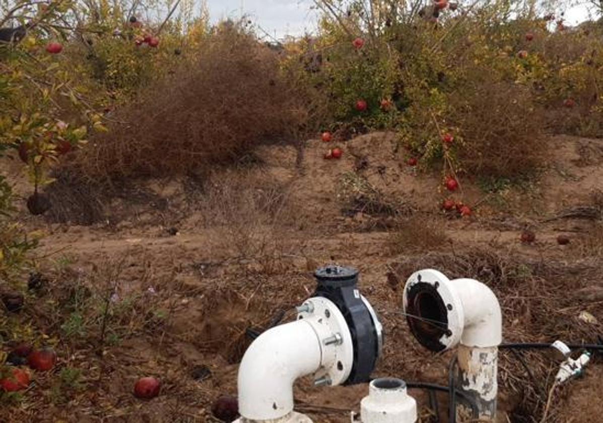 Boca de riego desmontada, en una parcela del Campo de Cartagena con un cultivo de granados.