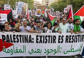 Manifestación «en defensa del pueblo palestino» en Murcia, en imágenes