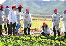 Alumnos del Máster en un trabajo de campo.