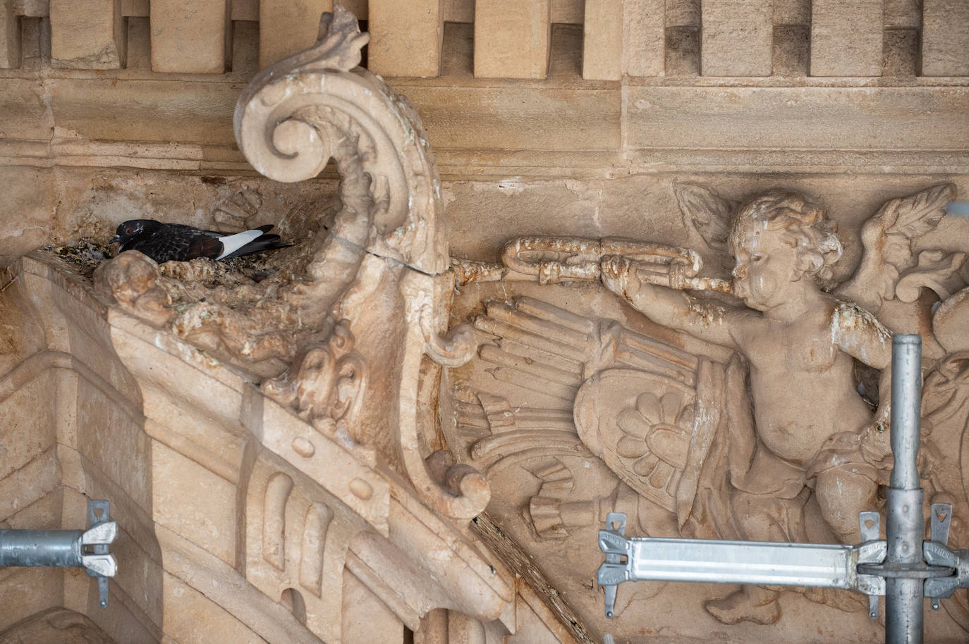 Las obras de restauración de la fachada de la Catedral de Murcia