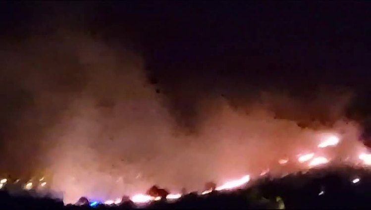 Incendio en el Llano del Beal