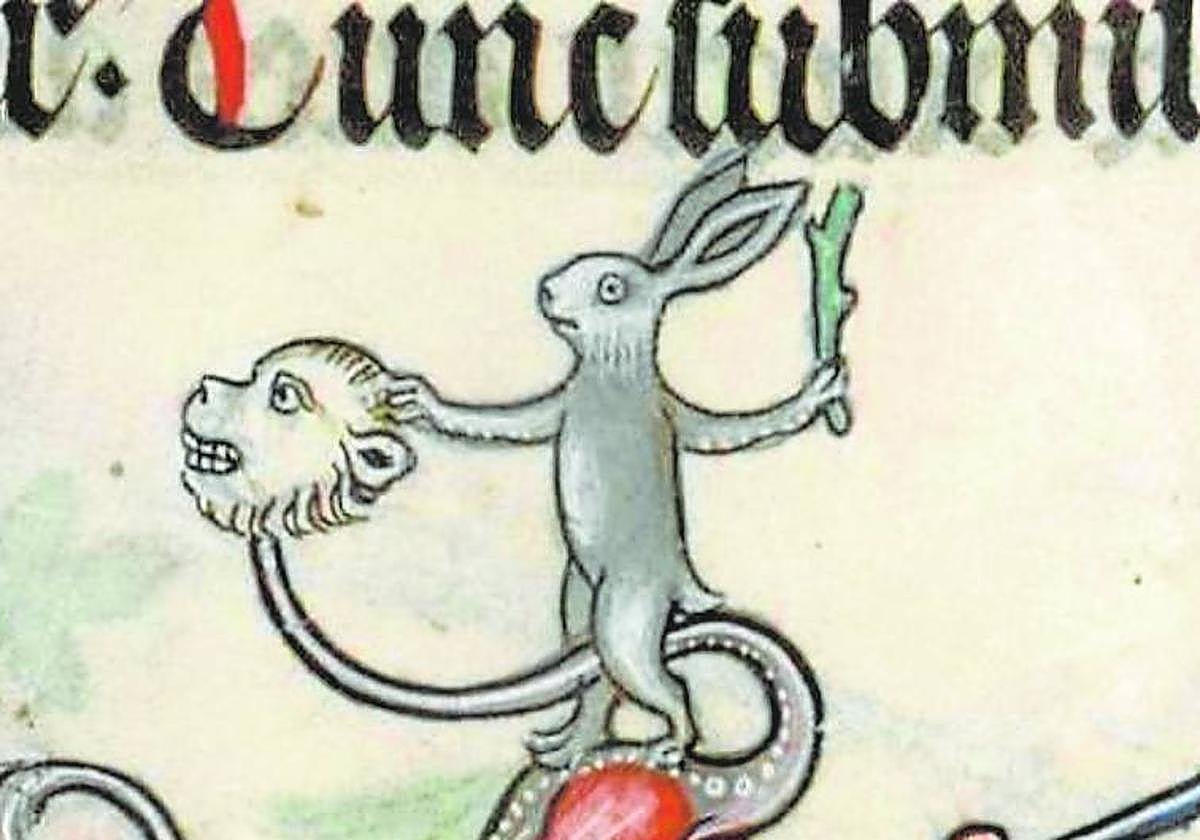 Conejos bellos y terribles