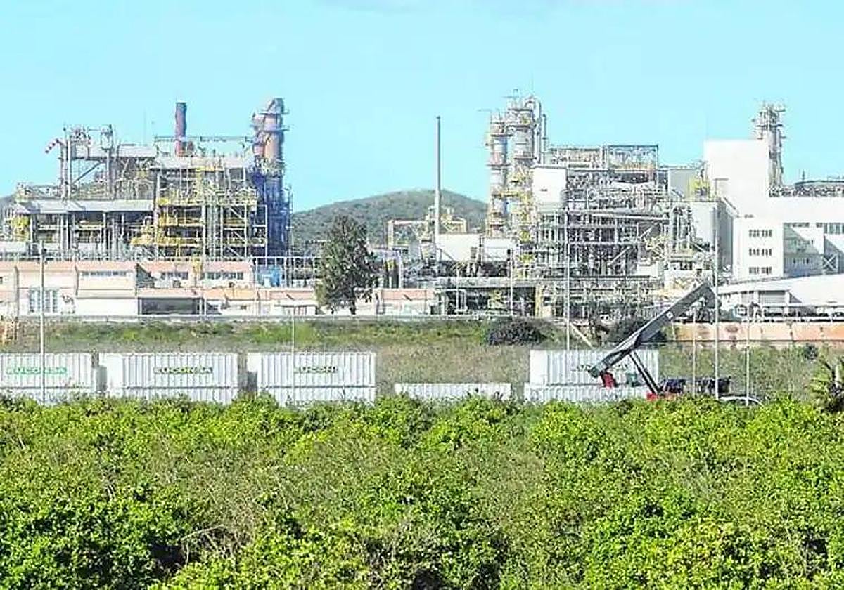 Bancal de limoneros junto a la factoría de Sabic en La Aljorra, en una imagen de archivo.