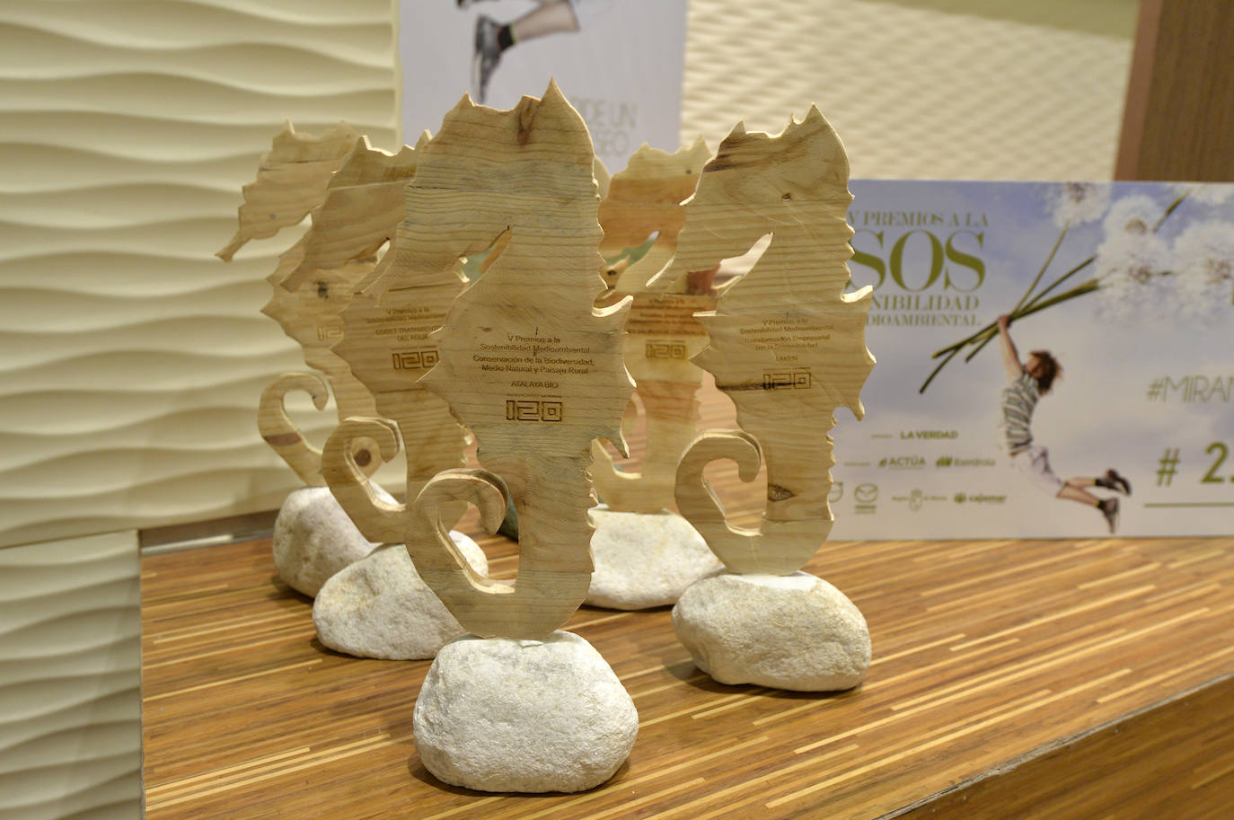 Entrega de los premios de sostenibilidad de LA VERDAD, en imágenes