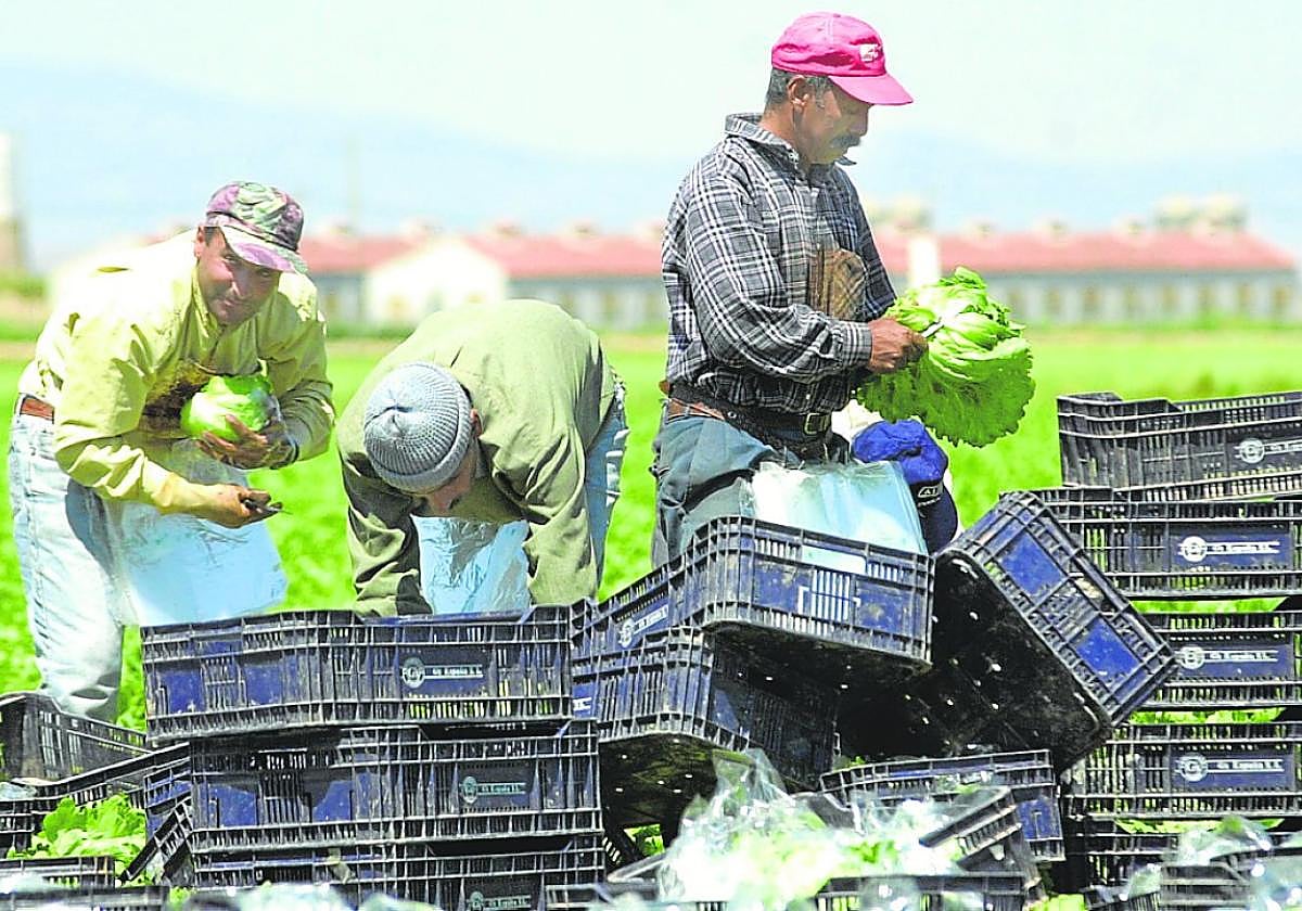 Trabajadores en una finca del Campo de Cartagena, en una imagen de archivo.