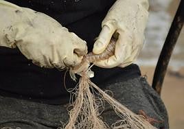 Un pescador con los artes con los que acaba defaenar.