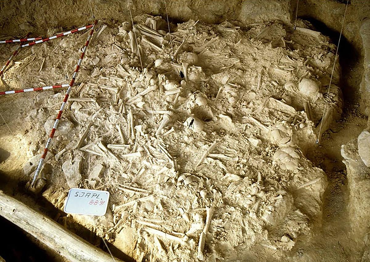 Imagen secundaria 1 - El enterramiento masivo en la Rioja alavesa antes de su excavación y la distribución de los principales restos óseos. Diferentes piezas óseas rescatadas. 