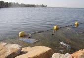 Los plásticos actúan concentrando contaminantes orgánicos en el Mar Menor
