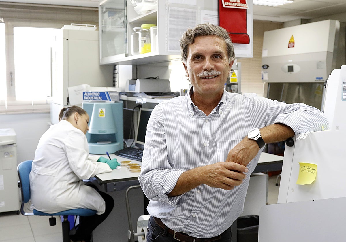 Francisco Tomás Barberán, en una imagen de archivo.
