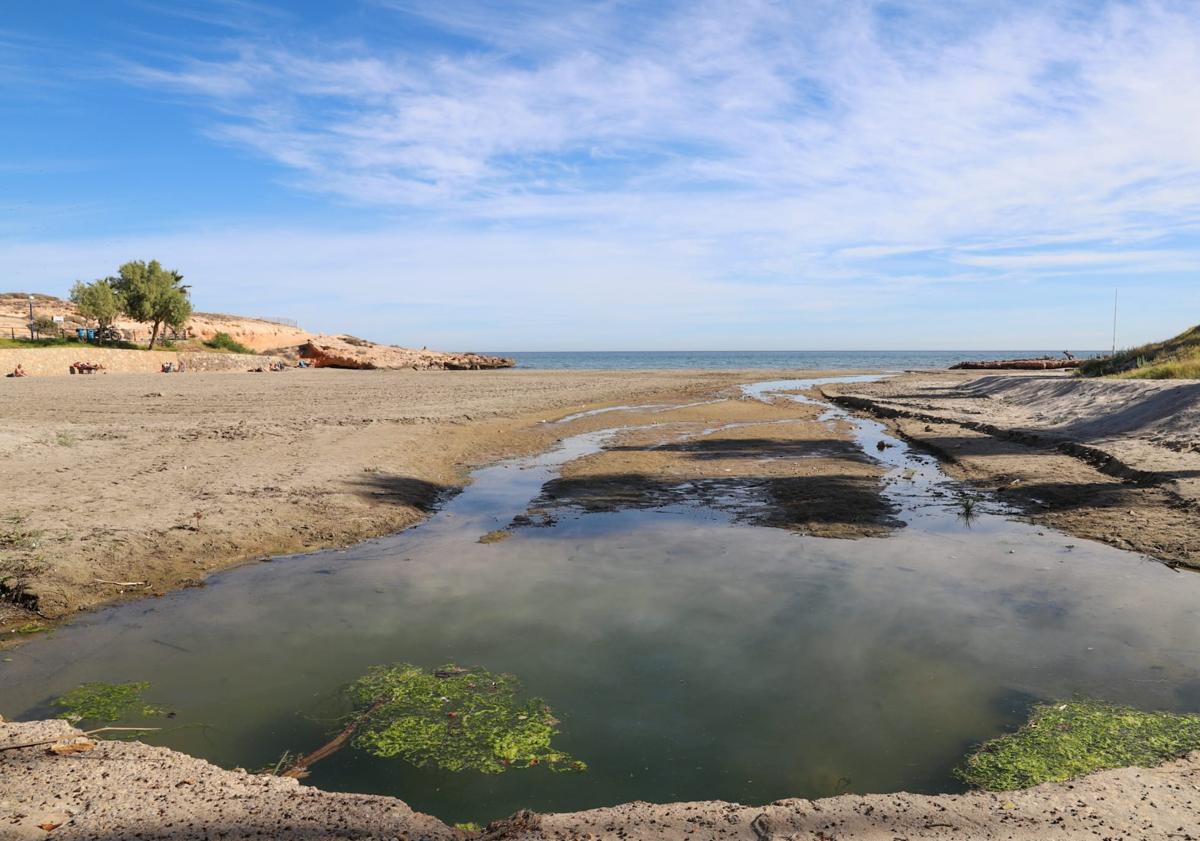 Imagen principal - Aspecto que presenta este martes la playa de Cala Mosca.