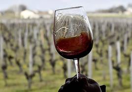 Una copa de vino tinto, en una imagen de archivo.