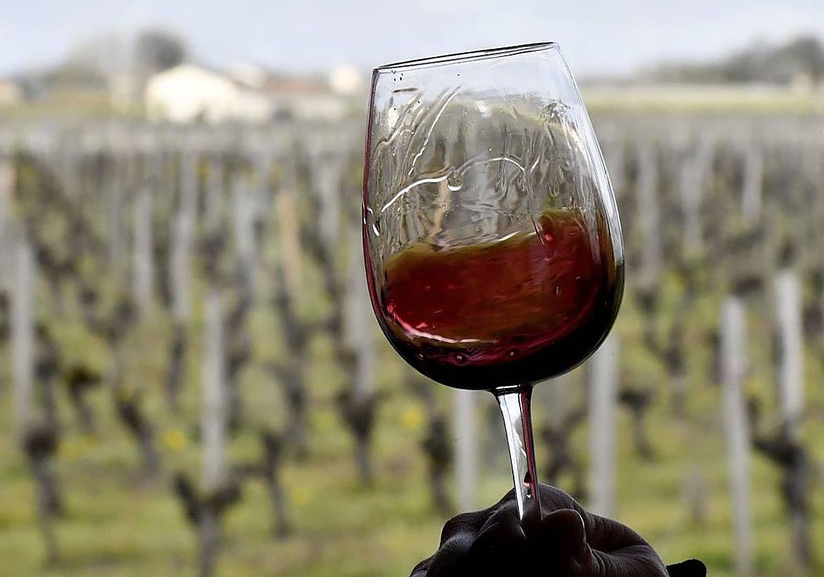 Una copa de vino tinto, en una imagen de archivo.