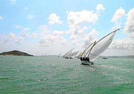 Regata de vela latina en aguas del Mar Menor.