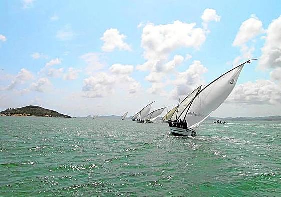 Regata de vela latina en aguas del Mar Menor.