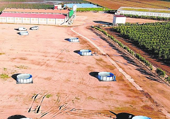 Balsas de purines empleadas durante el proyecto de investigación.