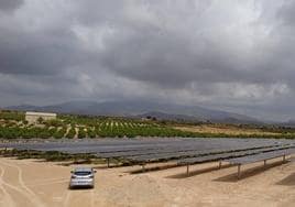 Una de las dos plantas fotovoltaicas de Comunidad Solar en Fuente Álamo.